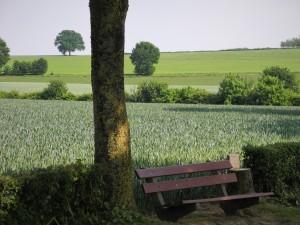 Bankje net buiten Bruisterbosch